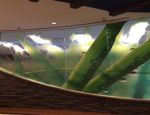 Why Every First Floor Office Should Have Decorative Privacy Window Film