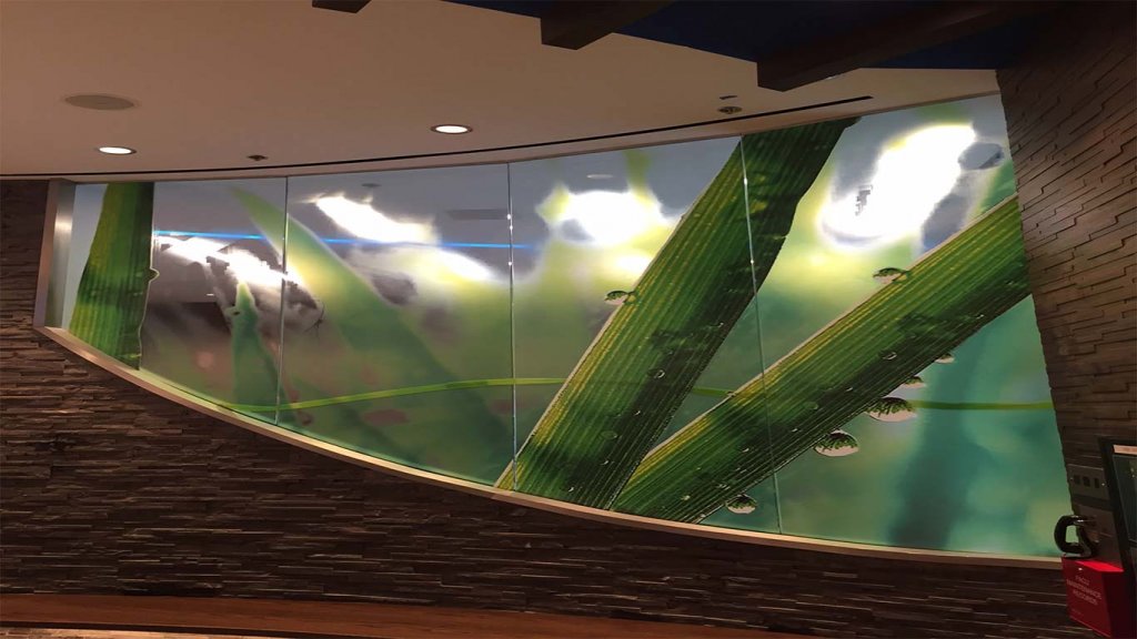Decorative Window Film for offices