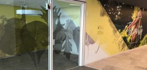 custom window film, Decorative Window Film Ideas for Your Office