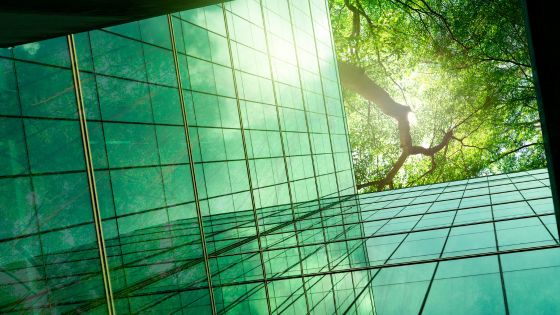 Sustainability and Energy Efficiency with Window Film